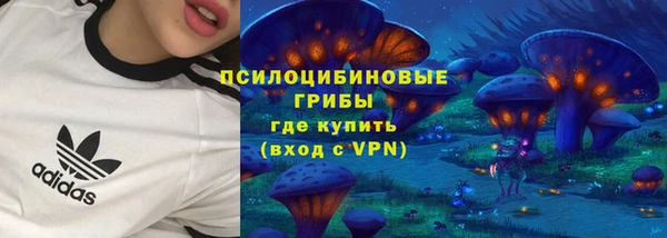 стаф Вязьма