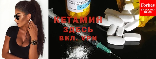 индика Гусиноозёрск