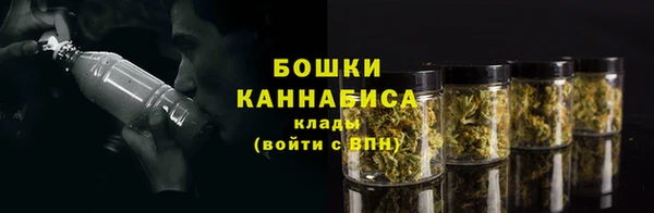 a pvp Горнозаводск