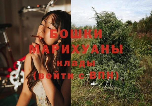 молекула духа Гусь-Хрустальный