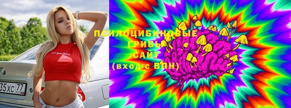молекула духа Гусь-Хрустальный