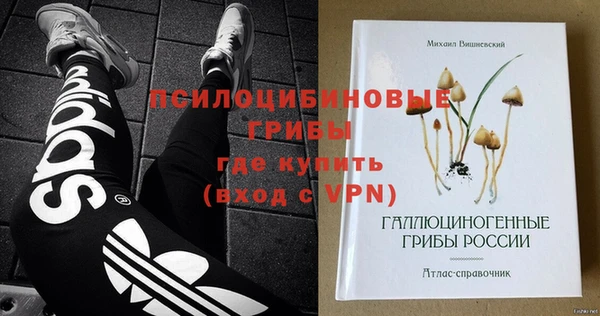 молекула духа Гусь-Хрустальный