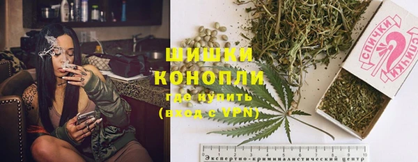 индика Гусиноозёрск