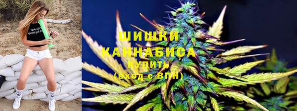 индика Гусиноозёрск