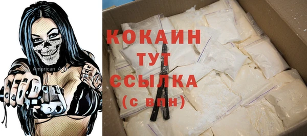 индика Гусиноозёрск