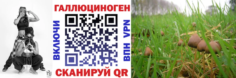 Псилоцибиновые грибы прущие грибы  mega ТОР  Дегтярск 